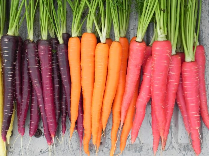 ALimentos saludables para los ojos