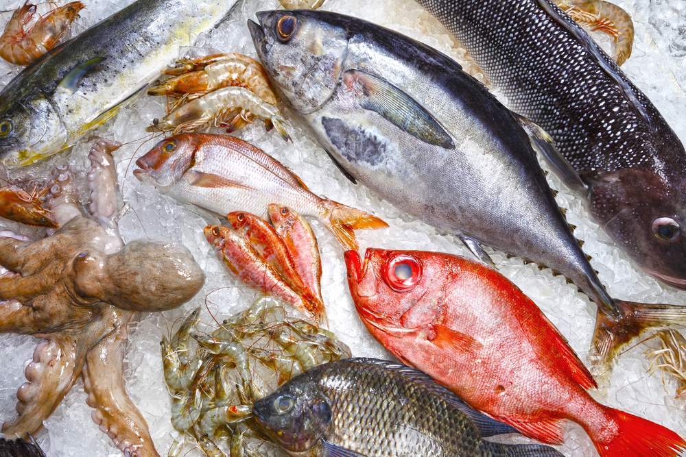 Pescados bajos en mercurio